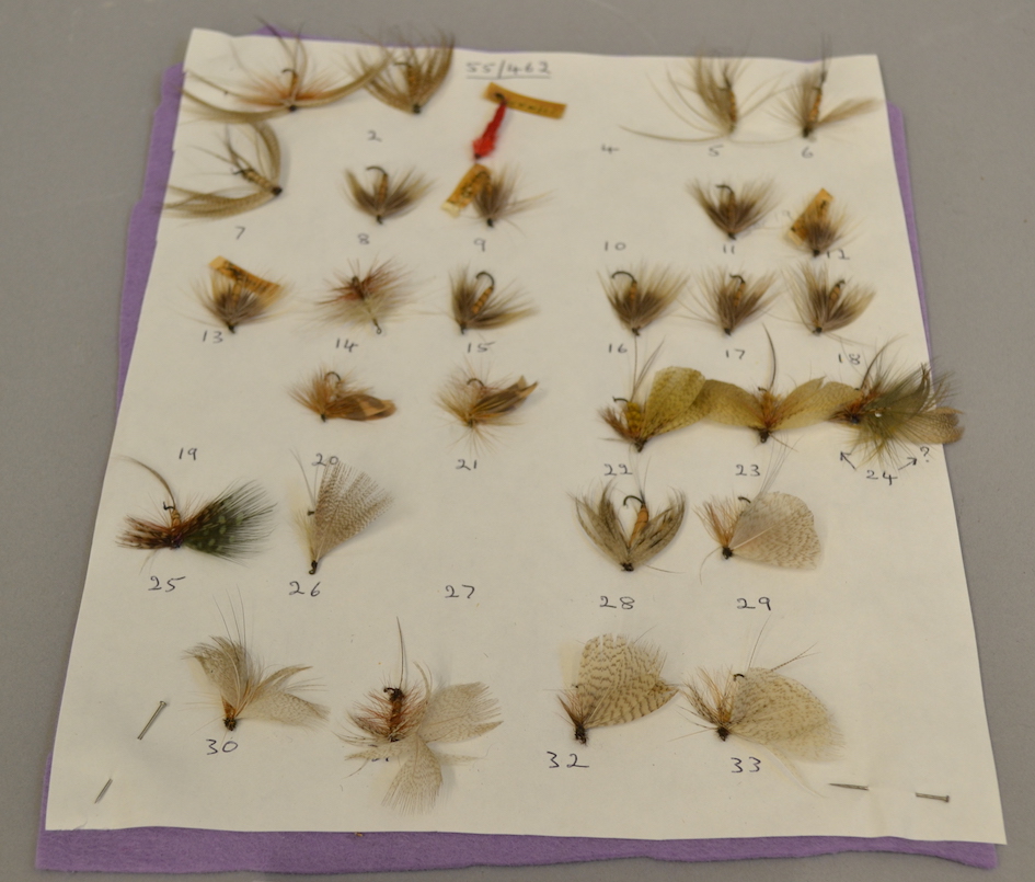 Mayfly